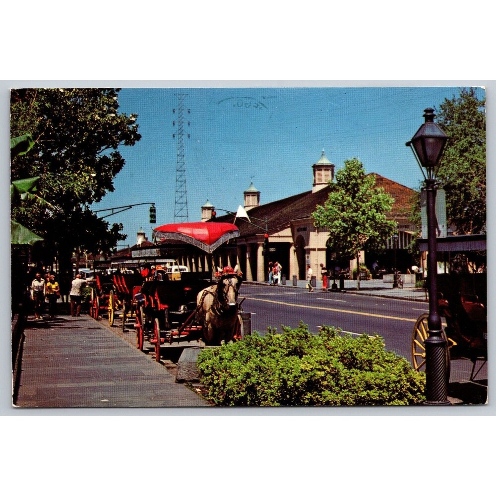 Vintage Postcard 1987 New Orleans French Market Horse Drawn Carriage Swamp Tour